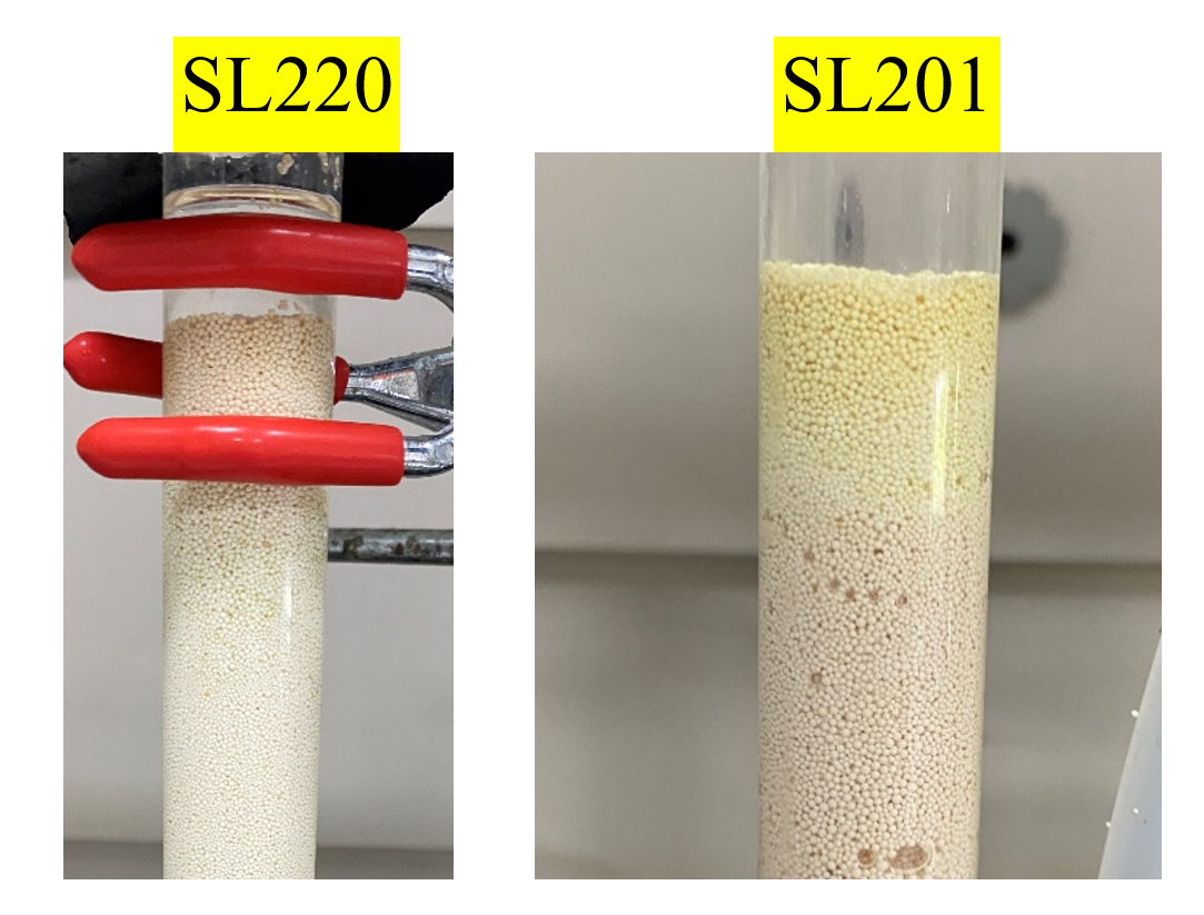 腾博tengbo9885_首页(欢迎您)