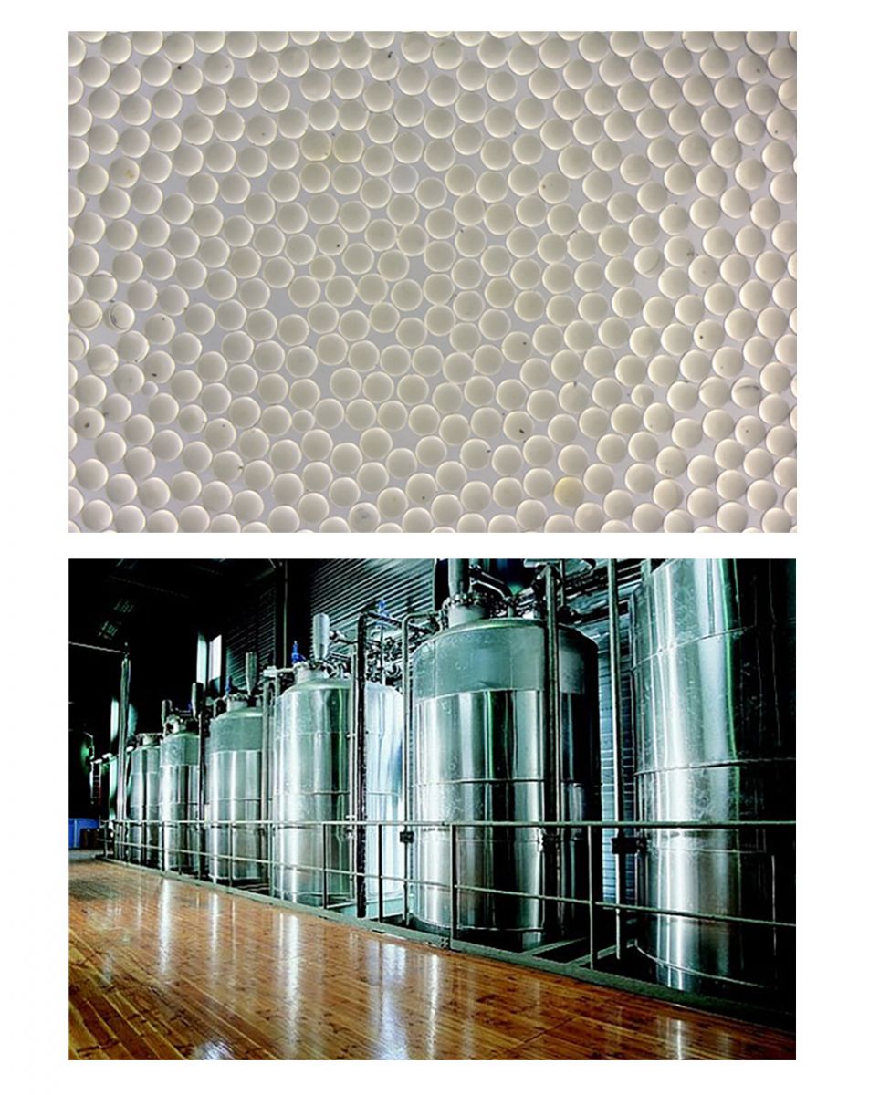 腾博tengbo9885_首页(欢迎您)